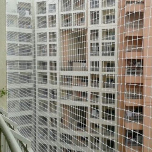 birdscontrolnet